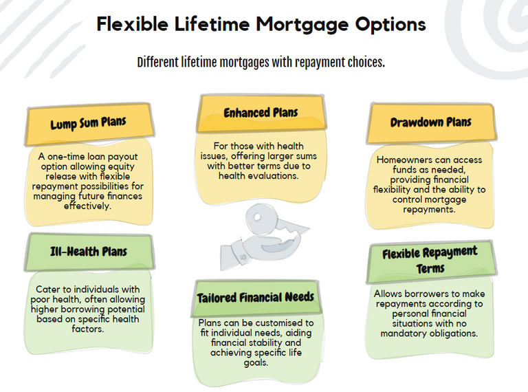 Flexible Lifetime Mortgage Options